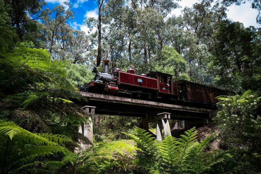 Picture 7 for Activity Puffing Billy Railway: Heritage Steam Train Journey