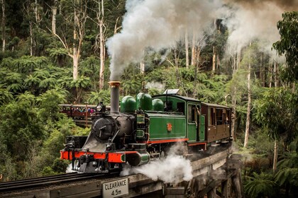 Puffing Billy Railway: viaje en tren de vapor tradicional