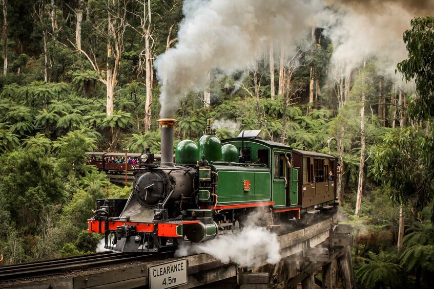 Puffing Billy Railway: Heritage Steam Train Journey