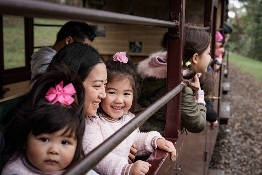 Picture 4 for Activity Puffing Billy Railway: Heritage Steam Train Journey