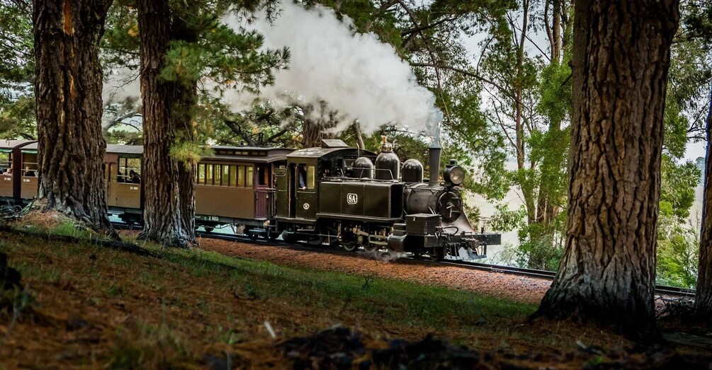 Picture 1 for Activity Puffing Billy Railway: Heritage Steam Train Journey