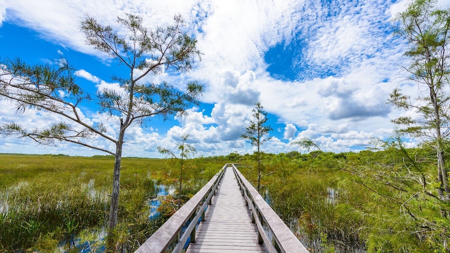 Everglades NP and Big Cypress NP Self Guided Driving Tour Bundle