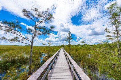 Paquete de recorrido en conducción basado en la aplicación Everglades NP y ...