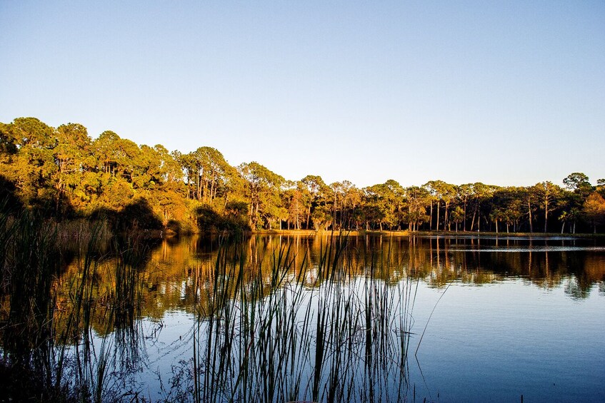 Everglades NP and Big Cypress NP Self Guided Driving Tour Bundle