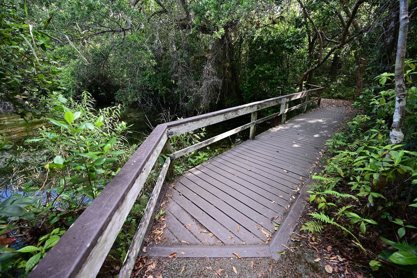 Everglades NP and Big Cypress NP Self Guided Driving Tour Bundle