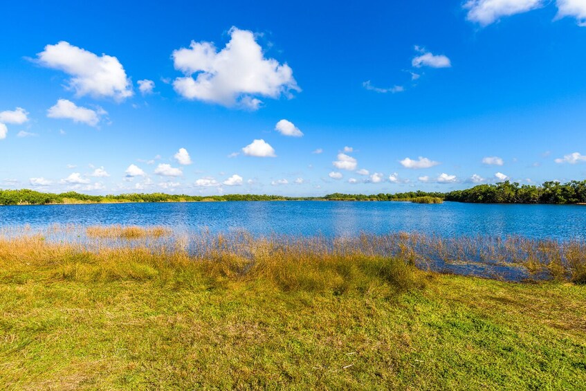 Everglades NP and Big Cypress NP Self Guided Driving Tour Bundle