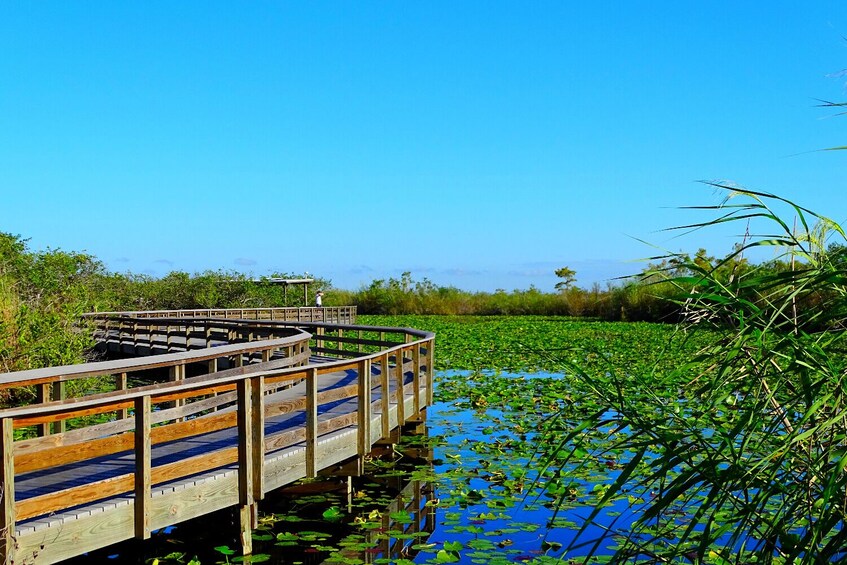 Everglades NP and Big Cypress NP Self Guided Driving Tour Bundle