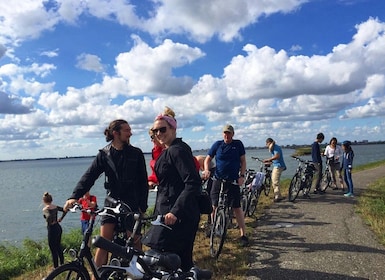 Desde Ámsterdam: recorrido en bicicleta por el campo