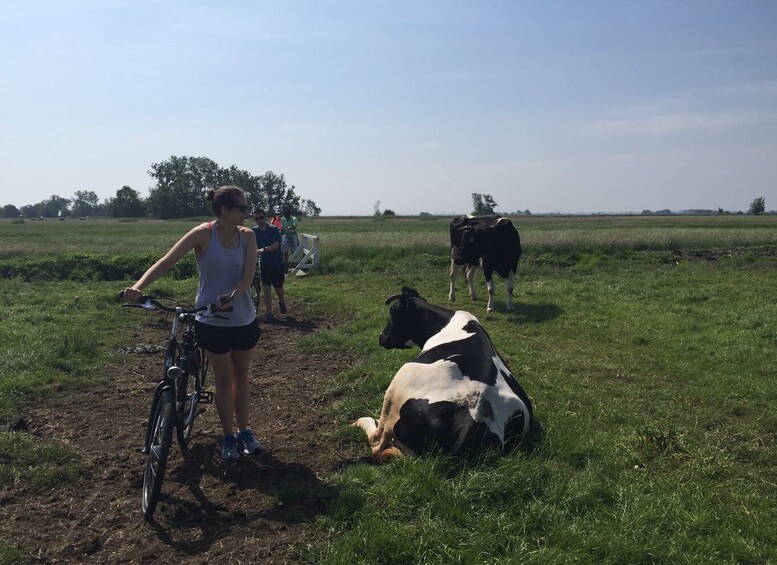 Picture 1 for Activity From Amsterdam: Countryside Bike Tour