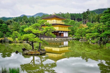 Vanuit Kyoto: Kyoto en Nara Gouden Route Hele Dag Bus Tour