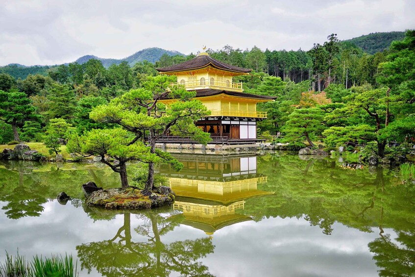 From Kyoto: Kyoto and Nara Golden Route Full-Day Bus Tour