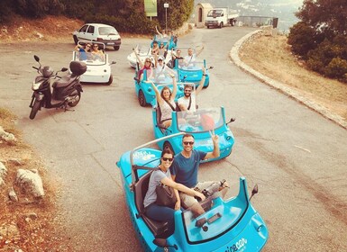 Vanuit Nice: Private French Riviera Tour met open auto