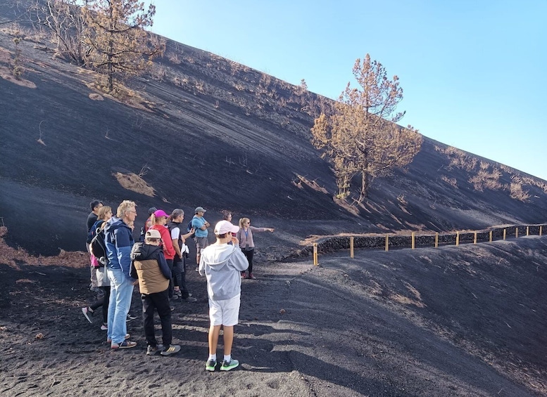 Picture 2 for Activity La Palma: Tajogaite Volcano Guided Hike