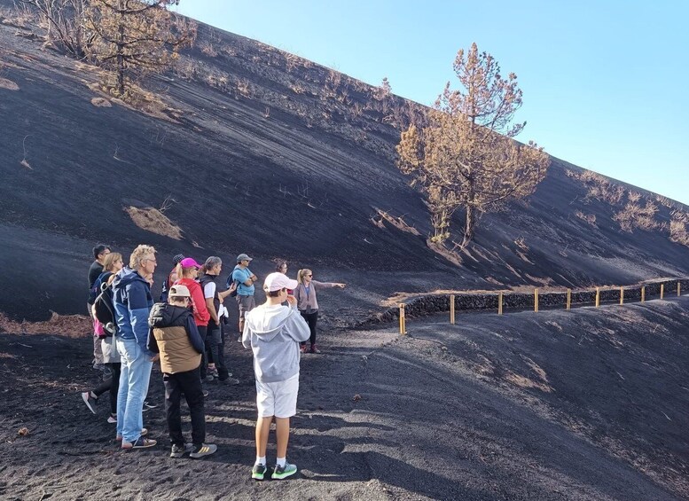 Picture 2 for Activity La Palma: Tajogaite Volcano Guided Hike