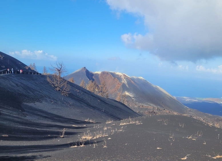 Picture 3 for Activity La Palma: Tajogaite Volcano Guided Hike