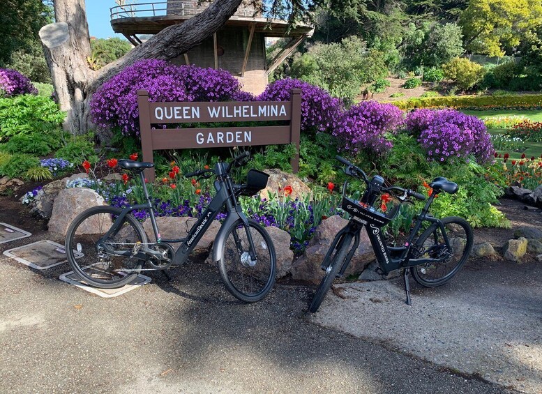 Picture 2 for Activity San Francisco: Golden Gate Park Guided Bike or eBike Tour