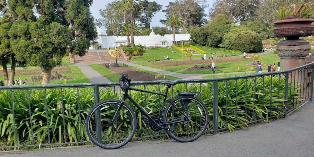 Picture 2 for Activity San Francisco: Golden Gate Park Guided Bike or eBike Tour