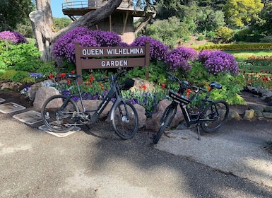 San Francisco : Visite guidée du Golden Gate Park à vélo ou en eBike