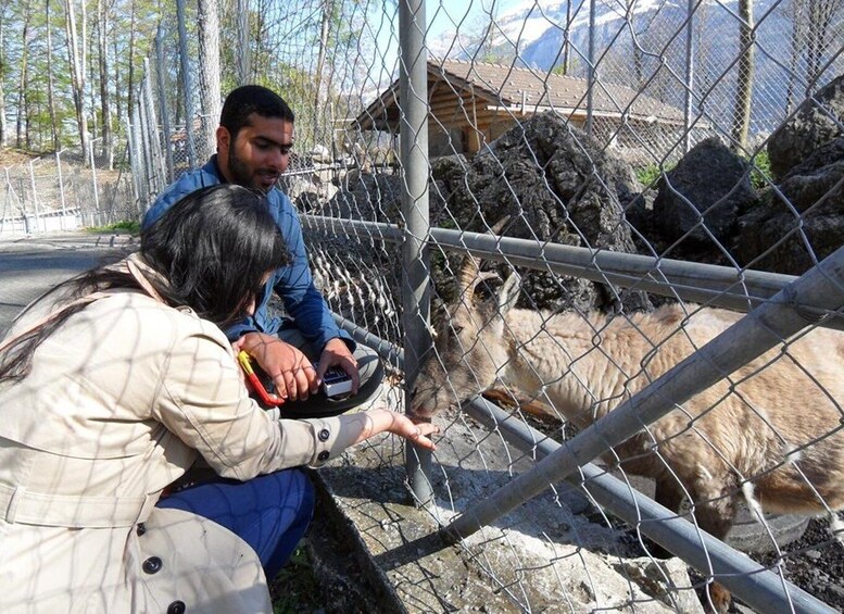 Picture 7 for Activity Private Full-Day Lake and Gorge Tour from Interlaken