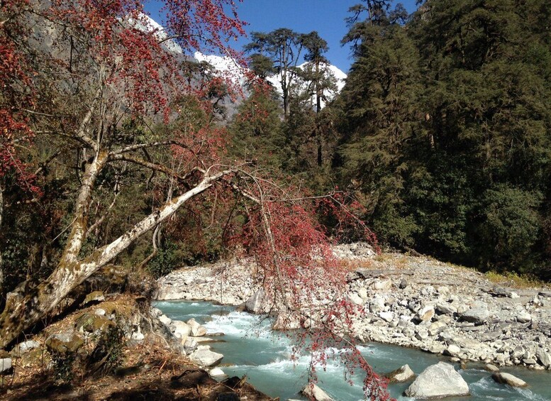 Picture 9 for Activity From Kathmandu: Short Langtang Valley Trek 6 Days