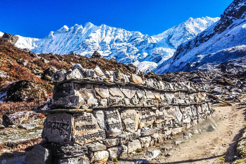 Picture 5 for Activity From Kathmandu: Short Langtang Valley Trek 6 Days