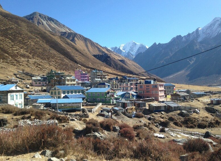 Picture 8 for Activity From Kathmandu: 11-Day Langtang Valley Trek with Porter