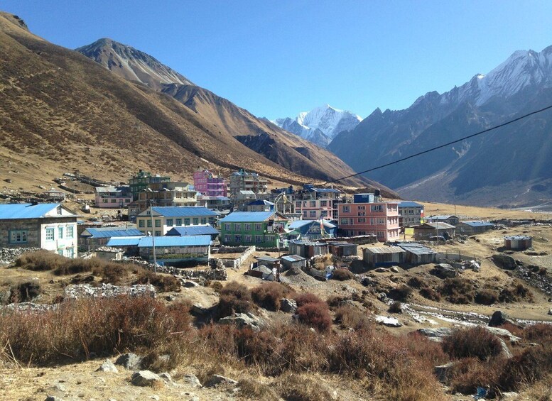 Picture 8 for Activity From Kathmandu: Short Langtang Valley Trek 6 Days