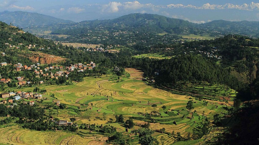 Picture 8 for Activity Kathmandu: 2 Nights 3 Days Chisapani Nagarkot Trek Kathmandu