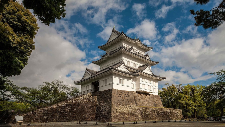 Odawara: Odawara Castle Tenshukaku Entrance Ticket