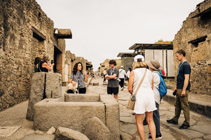 Pompeii with Panoramic Winery Lunch on Vesuvius: Day Trip from Rome 