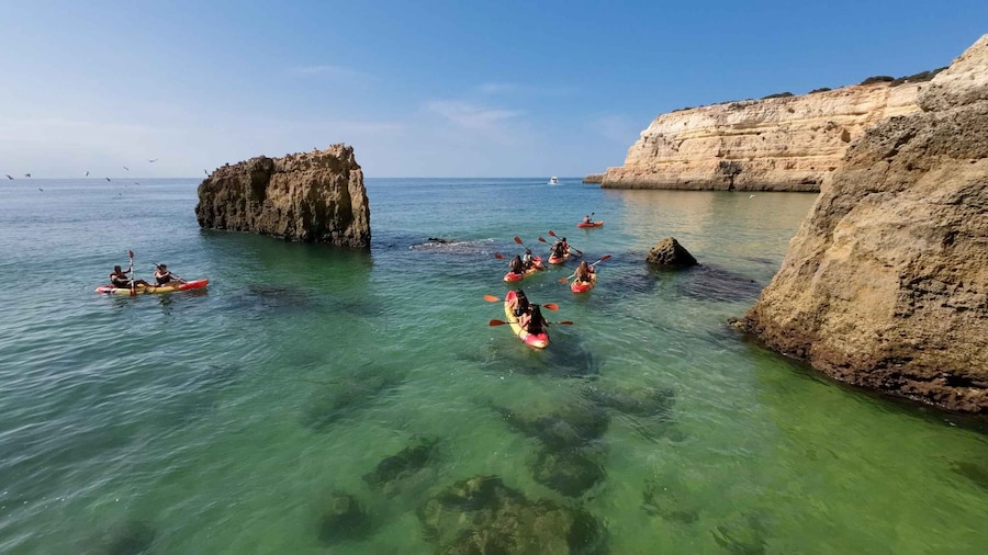 Armação de Pêra: 2-Hour Wild Beaches and Caves Kayak Tour