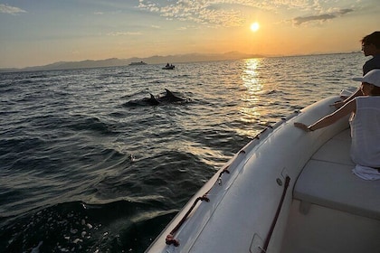 Sunset Cagliari: Sunsets, Dolphins and aperitif at sunset
