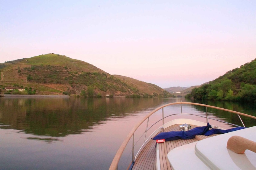 Picture 3 for Activity From Pinhão: Private Yacht Cruise along the Douro River