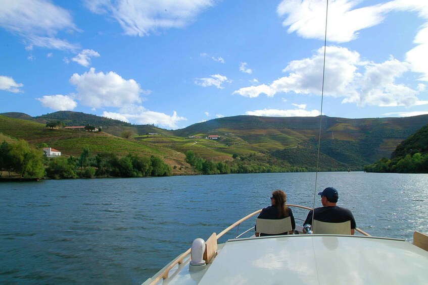 Picture 5 for Activity From Pinhão: Private Yacht Cruise along the Douro River