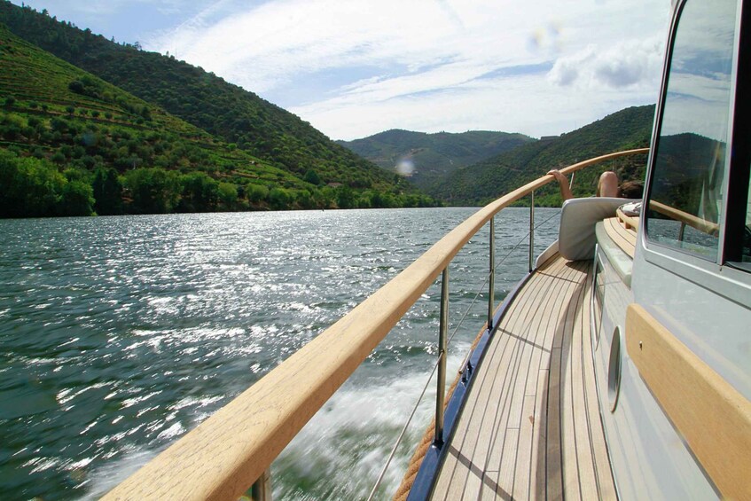 Picture 2 for Activity From Pinhão: Private Yacht Cruise along the Douro River