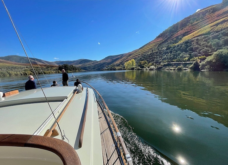 Picture 6 for Activity From Pinhão: Private Yacht Cruise along the Douro River