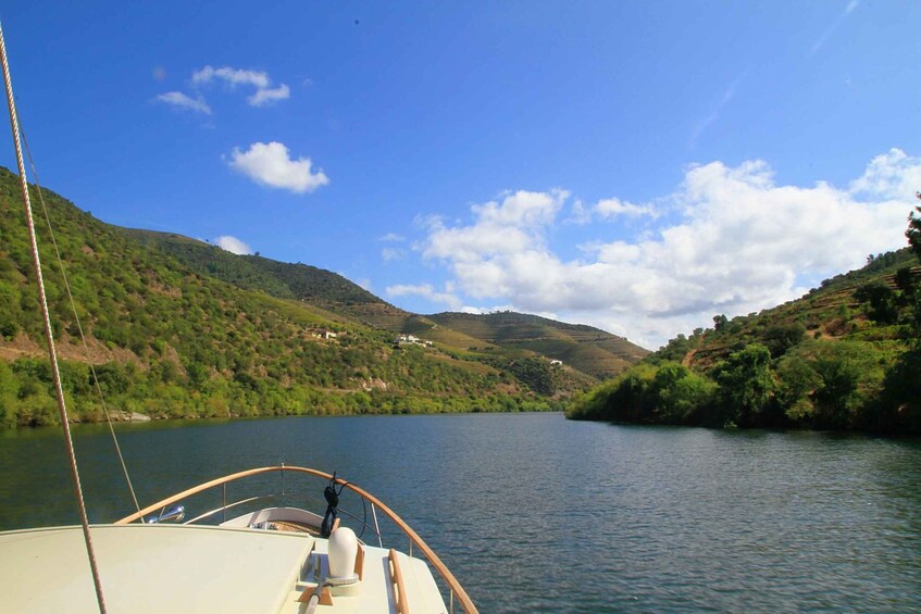 Picture 4 for Activity From Pinhão: Private Yacht Cruise along the Douro River