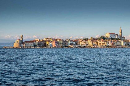 Des de Ljubljana: excursió d'un dia complet a les coves de Škocjan i Piran