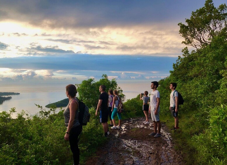 Picture 13 for Activity Mauritius: Le Morne Mountain UNESCO Eco Hike