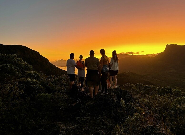 Picture 38 for Activity Mauritius: Le Morne Mountain UNESCO Eco Hike