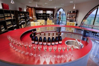 Veuve Ambal 1.5-Hour Cellar Tour with Tasting