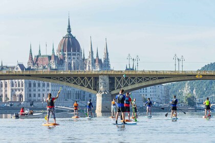 Budapest: Standup Paddleboarding Tour