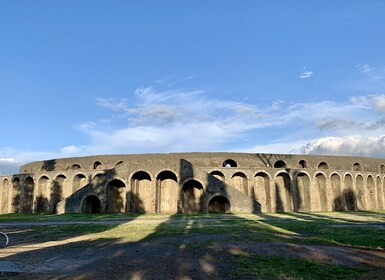 Pompéi VIP 3h excursion : coupe-file avec votre archéologue