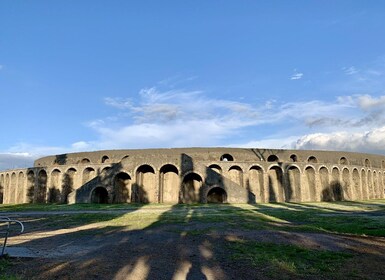 Pompeii VIP 3h Tour: Skip-the-line with your Archaeologist