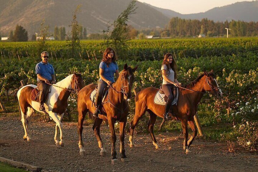 Horseback riding through the vineyards