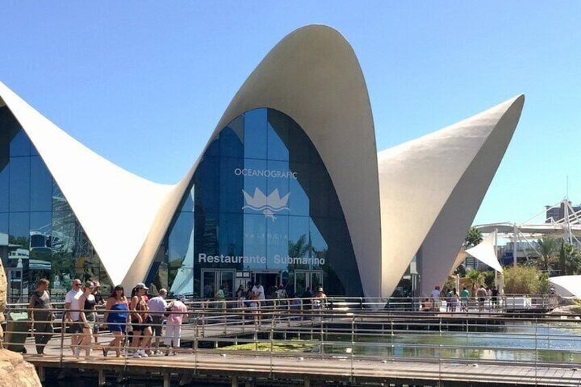 Valencia City of Arts and Sciences Tour