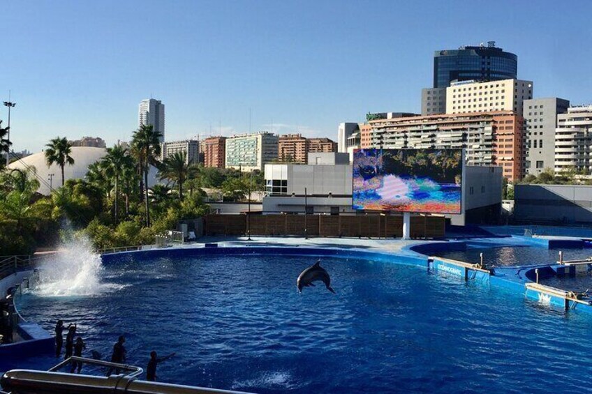 Valencia City of Arts and Sciences Tour