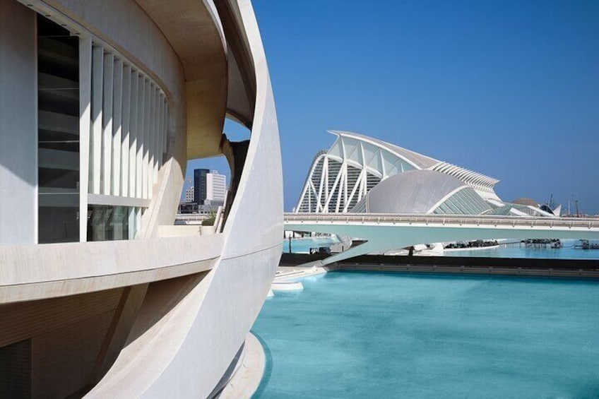 Valencia City of Arts and Sciences Tour