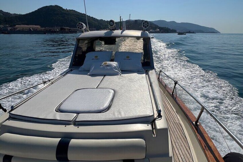 Boat tour Cinque Terre and Gulf of Poets from La Spezia