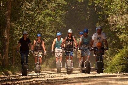 Knysna Aventura de Descenso en Scoot por el Bosque